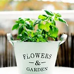 Helle Mit Balkon & Moderner Kueche - Ideal Fuer Paare Mit Kind アパート *