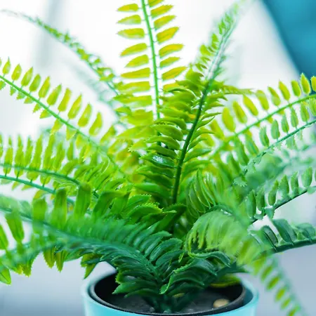 Helle Mit Balkon & Moderner Kueche - Ideal Fuer Paare Mit Kind アパート マクデブルク