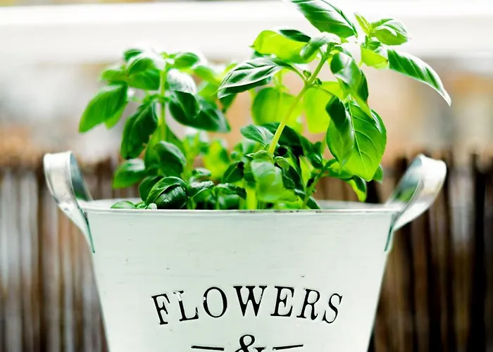 Helle Mit Balkon & Moderner Kueche - Ideal Fuer Paare Mit Kind アパート *