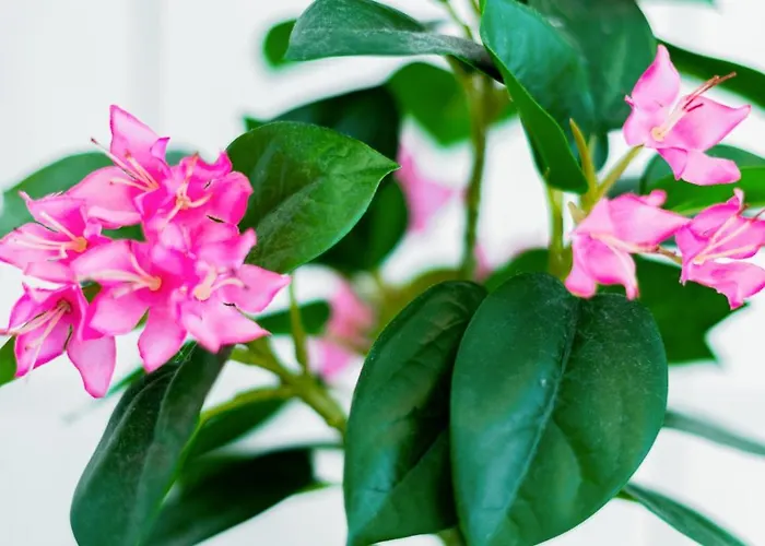 アパート Helle Mit Balkon & Moderner Kueche - Ideal Fuer Paare Mit Kind マクデブルク