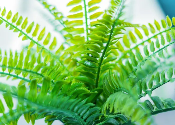 Helle Mit Balkon & Moderner Kueche - Ideal Fuer Paare Mit Kind Appartement Magdebourg