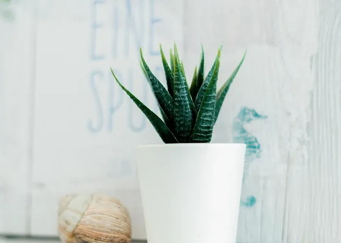 Helle Mit Balkon & Moderner Kueche - Ideal Fuer Paare Mit Kind * Magdebourg